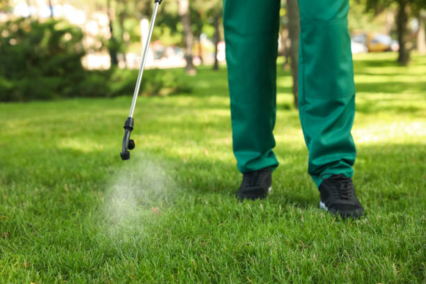 Best Best Pest Control Companies  in Mcadenville, NC