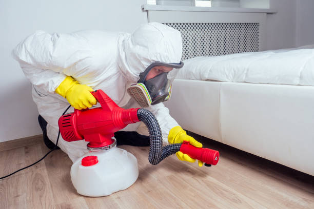 Best Termite Control Services  in Mcadenville, NC
