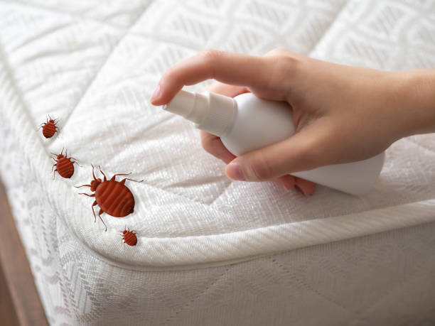 Professional Pest Control in Mcadenville, NC