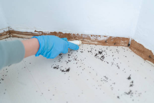 Best Commercial Pest Control Services  in Mcadenville, NC
