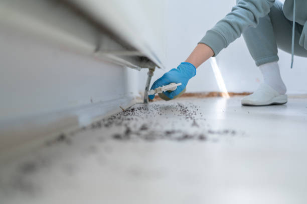 Best Affordable Pest Control Services  in Mcadenville, NC